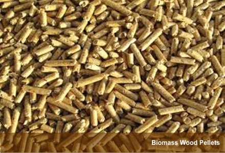 Biomass Wooden Pellets