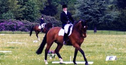 Vikki Lower Equestrian